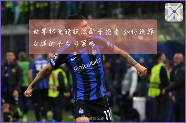 世界杯竞猜投注新手指南 如何选择合适的平台与策略