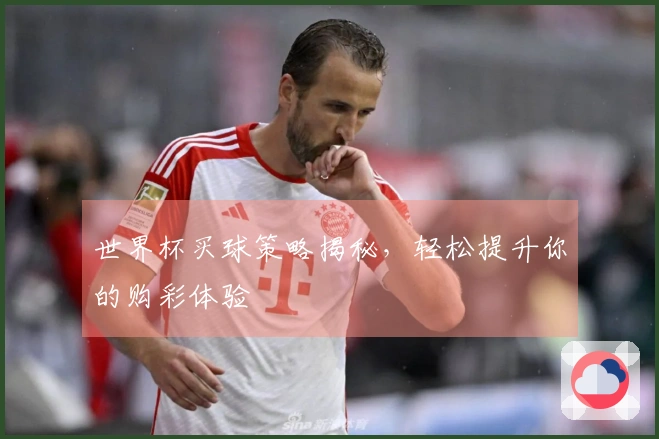 世界杯买球策略揭秘，轻松提升你的购彩体验