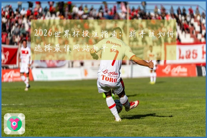 2026世界杯投注指南：新手该如何选择最佳网站和平台