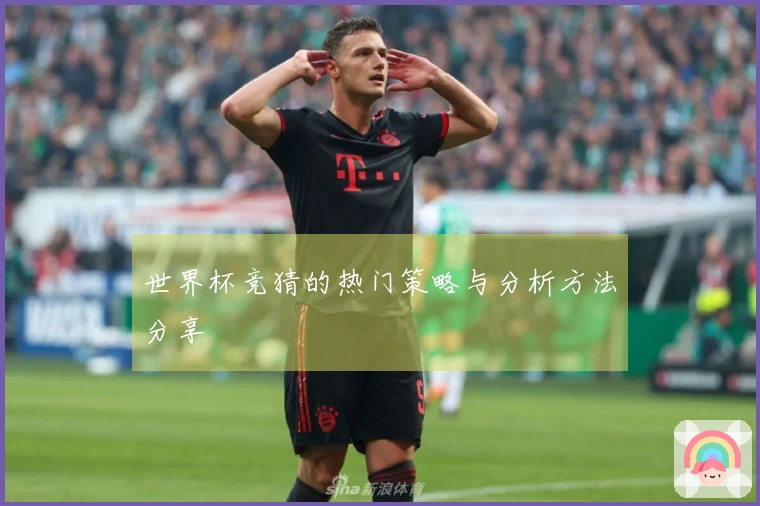 世界杯竞猜的热门策略与分析方法分享
