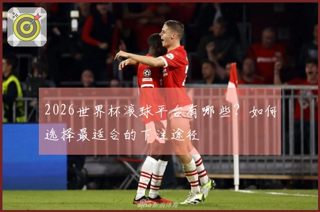 2026世界杯滚球平台有哪些？如何选择最适合的下注途径