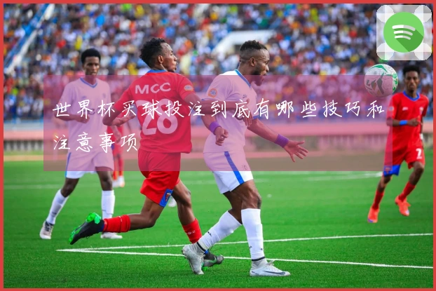 世界杯买球投注到底有哪些技巧和注意事项