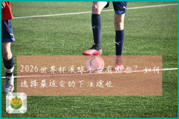 2026世界杯滚球平台有哪些？如何选择最适合的下注途径