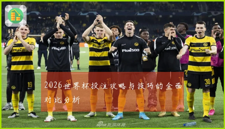 2026世界杯投注攻略与技巧的全面对比分析