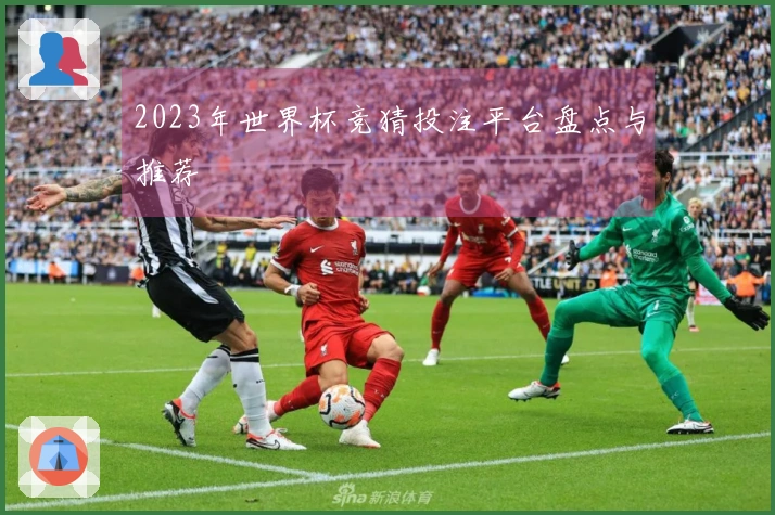 2023年世界杯竞猜投注平台盘点与推荐