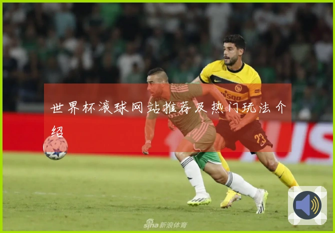 世界杯滚球网站推荐及热门玩法介绍