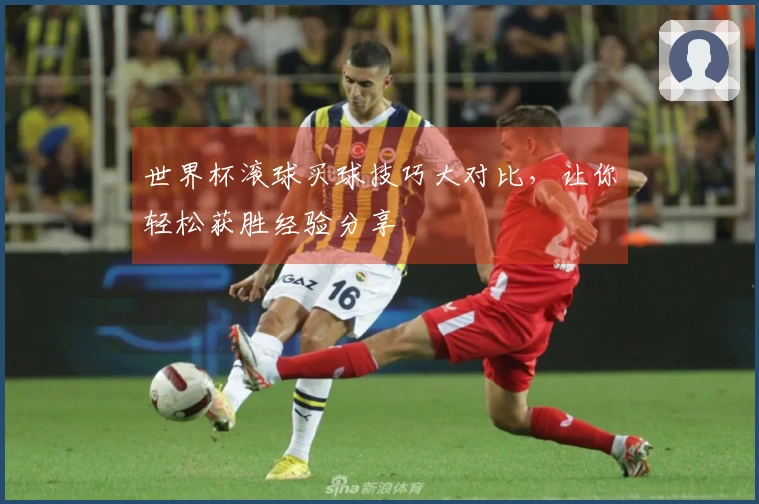 世界杯滚球买球技巧大对比，让你轻松获胜经验分享