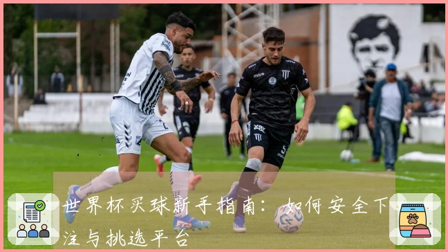 世界杯买球新手指南：如何安全下注与挑选平台