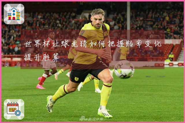 世界杯让球竞猜如何把握赔率变化提升胜算