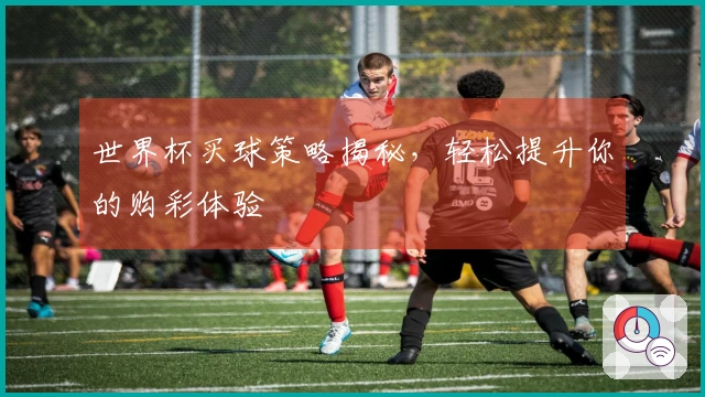 世界杯买球策略揭秘，轻松提升你的购彩体验