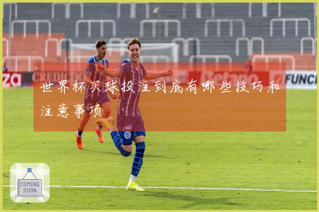 世界杯买球投注到底有哪些技巧和注意事项