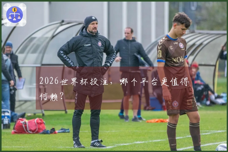2026世界杯投注，哪个平台更值得信赖？