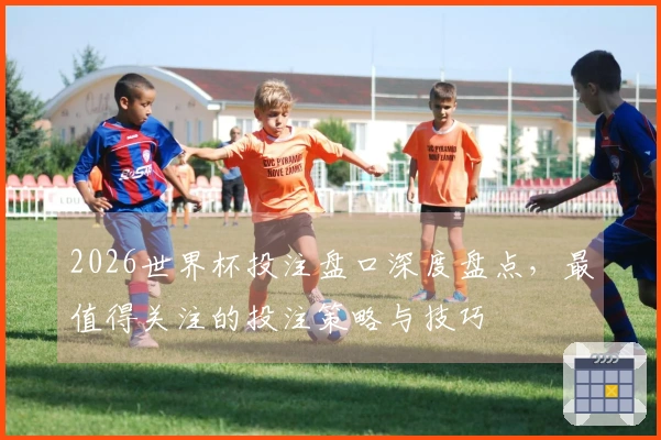 2026世界杯投注盘口深度盘点，最值得关注的投注策略与技巧